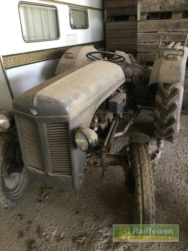 Oldtimer-Traktor типа Massey Ferguson TED, Gebrauchtmaschine в Salem-Neufrach (Фотография 1)